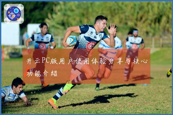 开云PC版用户使用体验分享与核心功能介绍