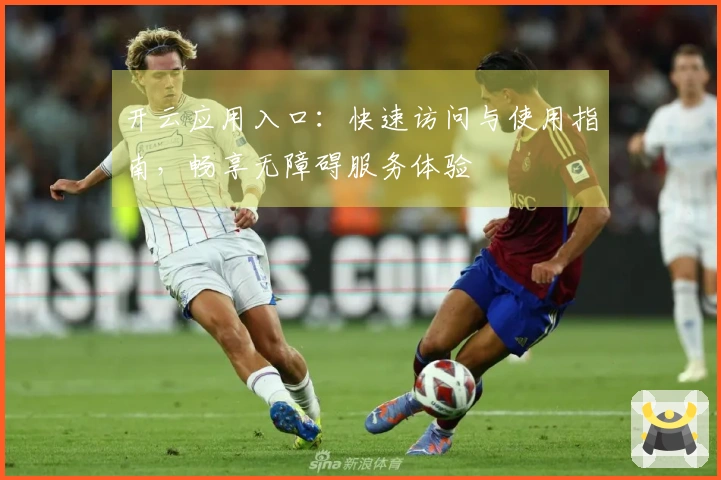 开云应用入口：快速访问与使用指南，畅享无障碍服务体验