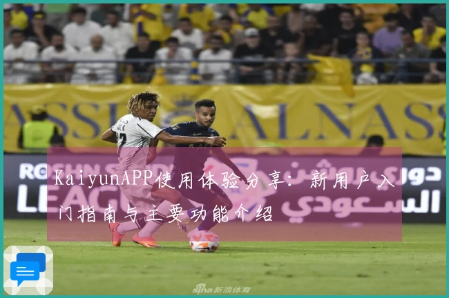 KaiyunAPP使用体验分享：新用户入门指南与主要功能介绍